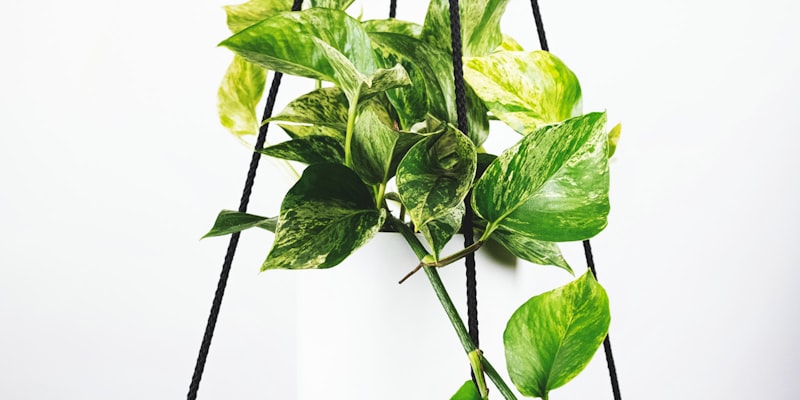 皇家马德里与巴塞罗那国家德比激烈对抗场面